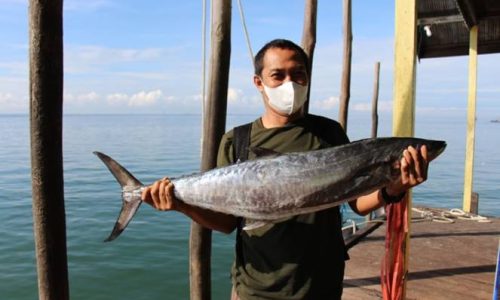 Kegiatan Penelitian Potensi Perikanan di Perairan Berau