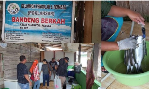 Pendampingan Kelompok Usaha Perikanan di Muara Badak